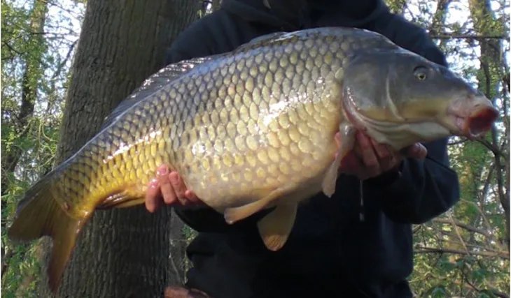 Vydařený začátek sezóny