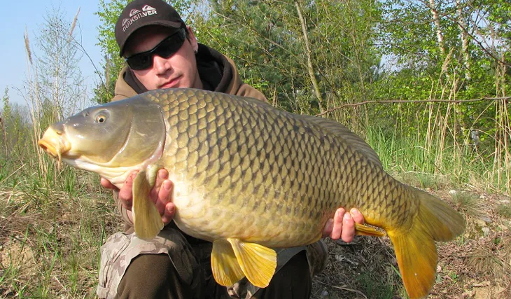 Další zářezy na Carpkillerově pažbě