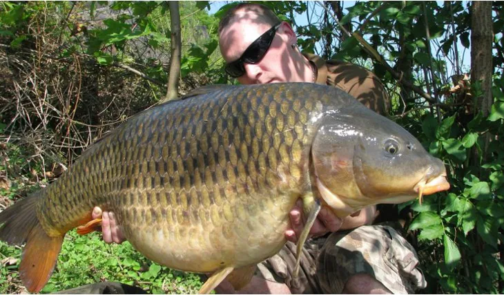 Carpkiller a jeho další Labský gibon!