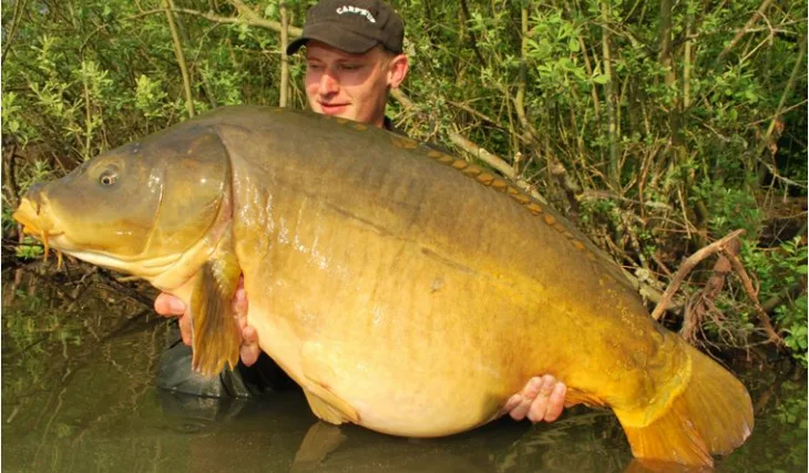 Robinův start do sezony