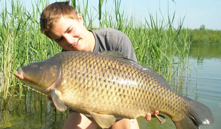 Mládě a jeho květnová "plavba" za kapry