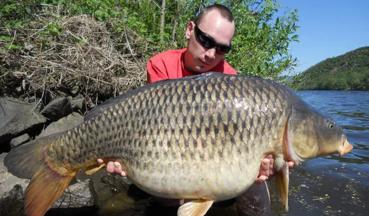 Carpkillerova nepřekonatelná Labská série pokračuje...