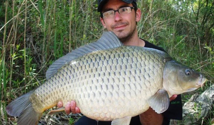 Maďarské jaro ve Slovenské režii