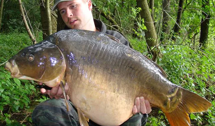 Víkendovka s Food Signálem