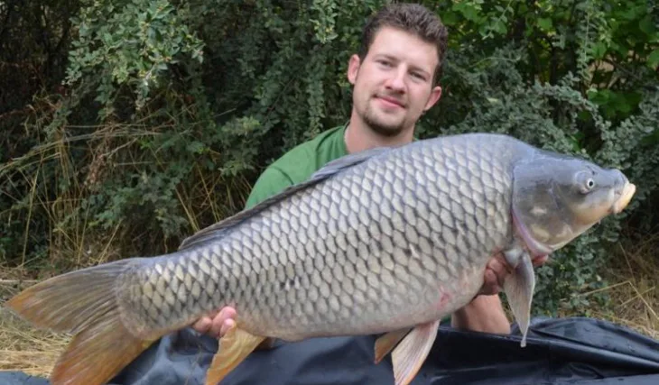 Petráskovy "pralesní" lovy