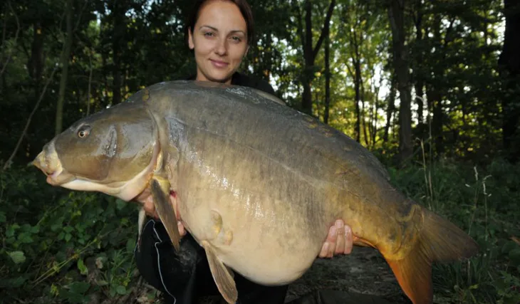 Kačka kouzlí Kill Krillem