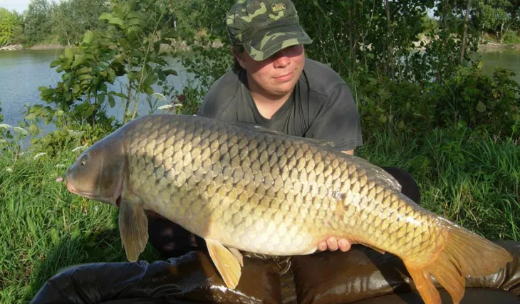 Úspěšné miniboilie