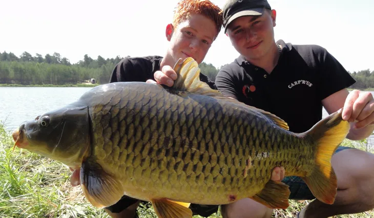 Závodní ambice Kinder Carp gangu