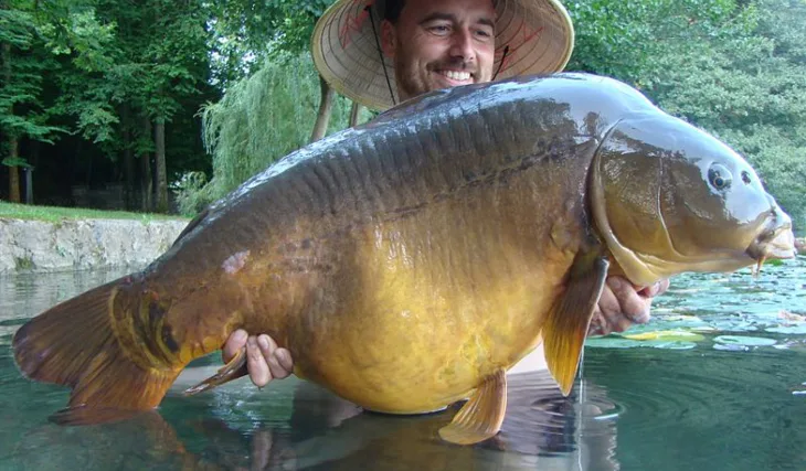 Horské jezero a jeho poklady