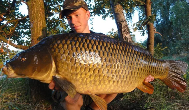 Enigmův konec léta