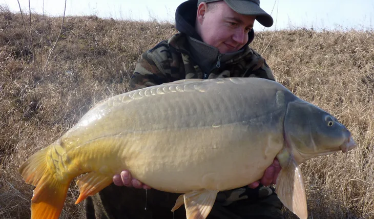 První ryba sezony na magickou čokoládu!