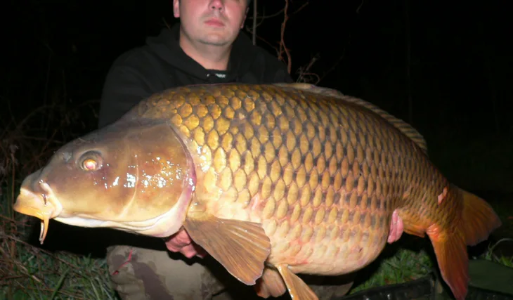 Pingpongáč na Labi