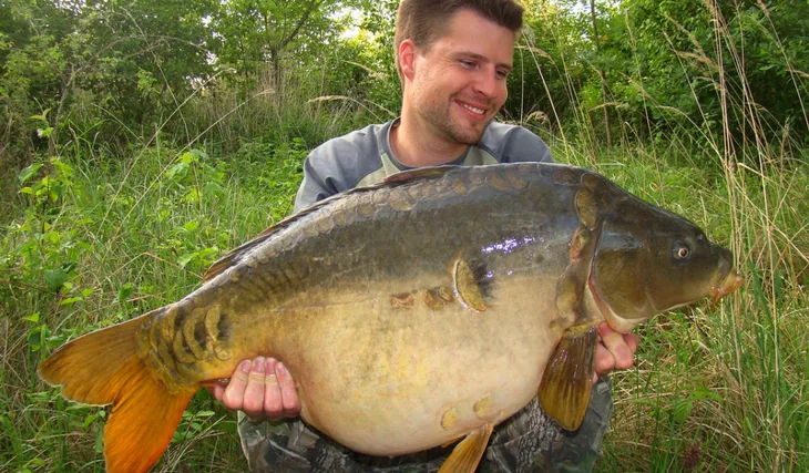 Než na to vlítli...