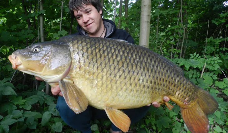 Poslední ryby před tropickými vedry