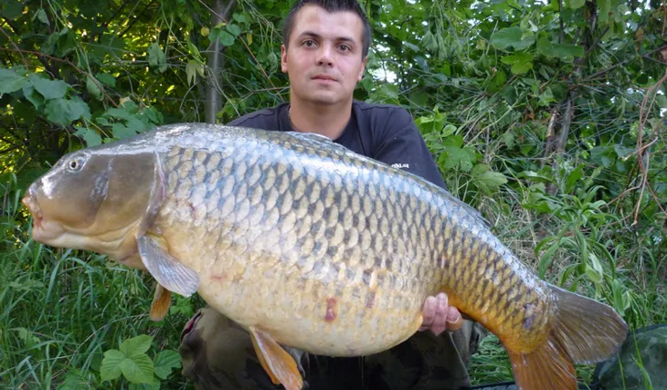 Pingpongáč a říční rychlovky