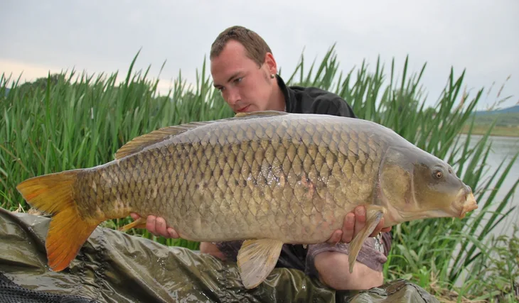 Carpkillerovy říční žně