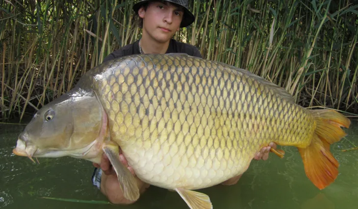 Erik, sumečci a obří šupináč!