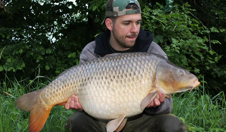 S P(p)eřinou na Labi