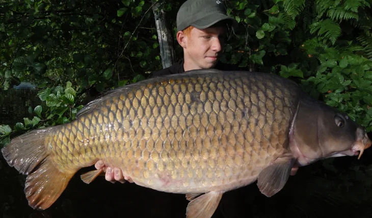 Enigmův nový osobák!