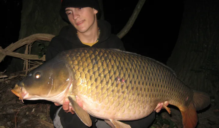 Když táhnou kachny...