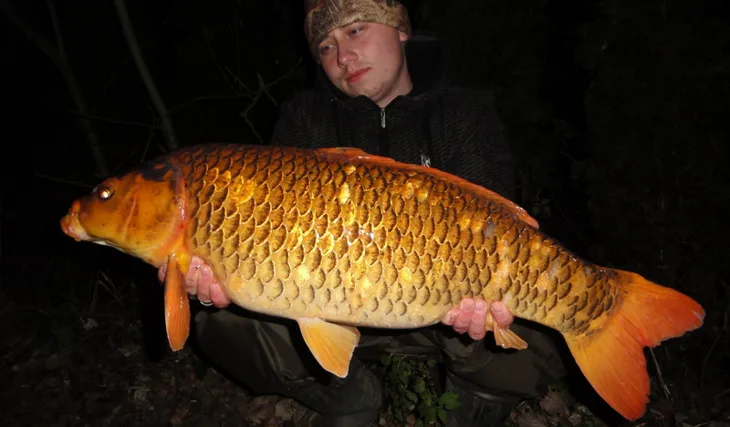 Poslední výprava před zámrzem