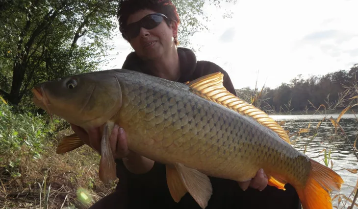 Carps Freedom Team se nevzdává