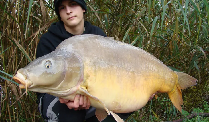 Maďarští kapři v mlze...