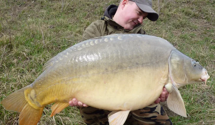 Chvilku po rozmrznutí...