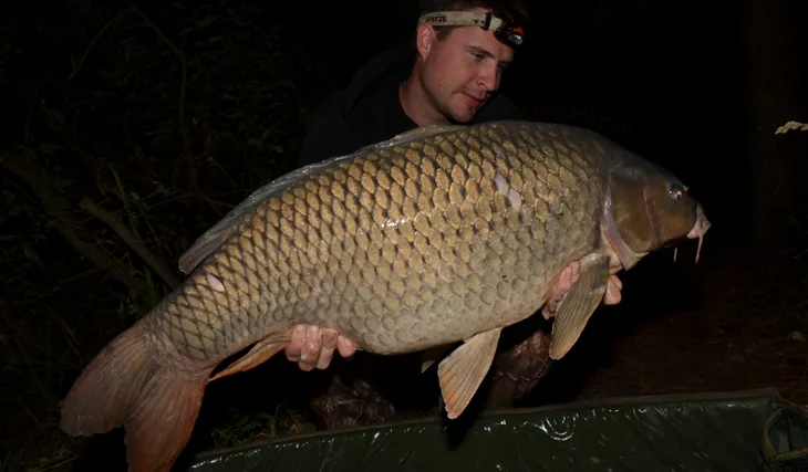 Vzpomínka na babí léto