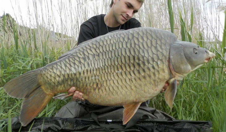 Velká odměna za krátká snažení...