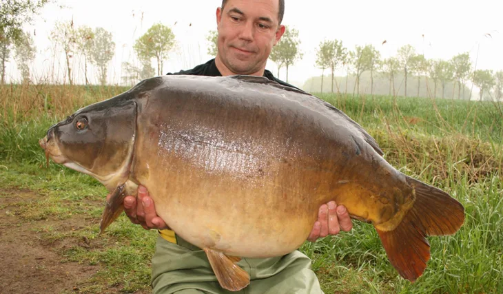 Belgická sezona - jaro 2013