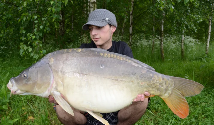 Leošovo pokračování...