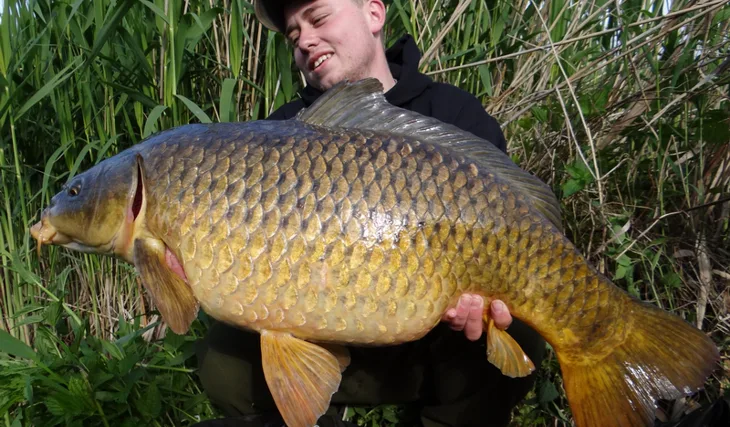 Po-povodňové akce na řece...