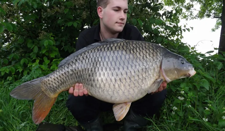 Top Gunova jarní hořkost