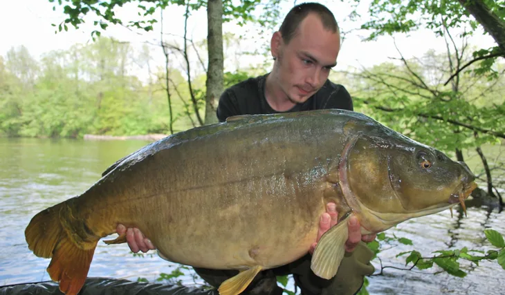 Carpkillerův multi-report