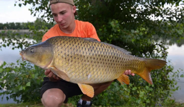 O pár centimetrů nahoru...