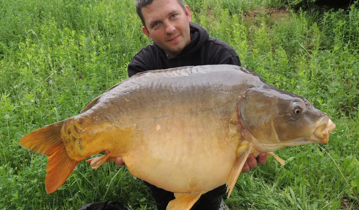 "To by som nebol povedal..."