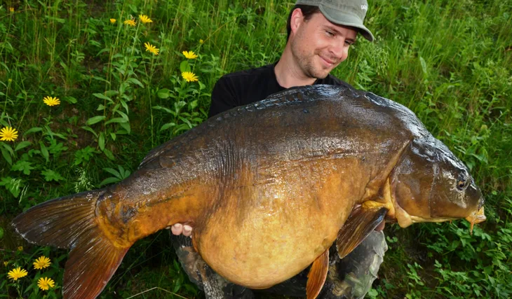 Když jeden záběr stačí...