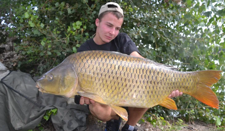 Šílenství se zig rigy...