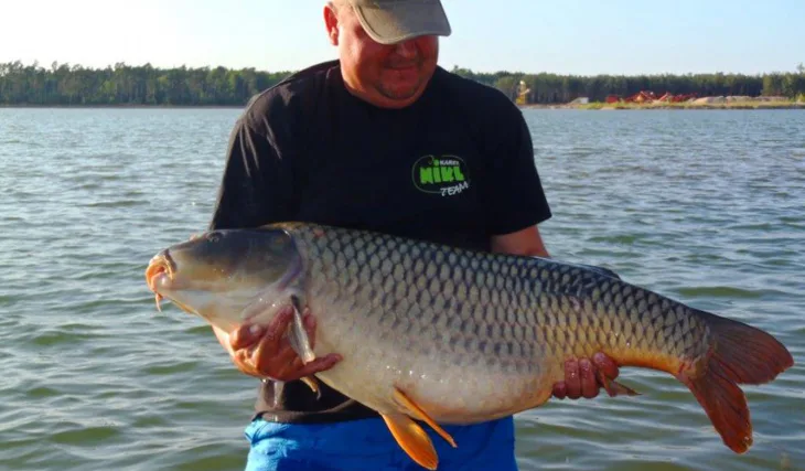 Ohlédnutí za létem