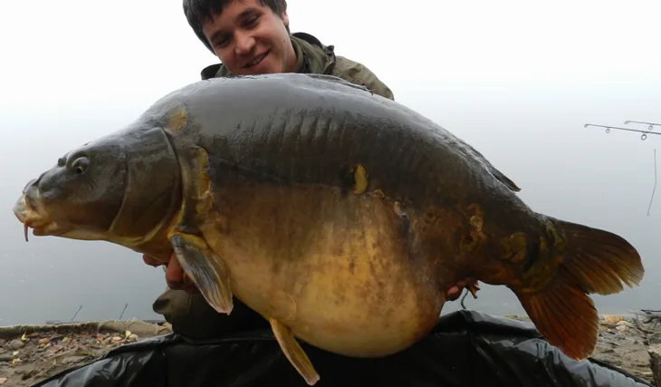 Povedený konec října...