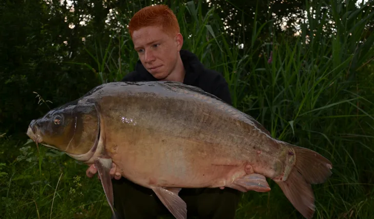 Krátké vycházky...