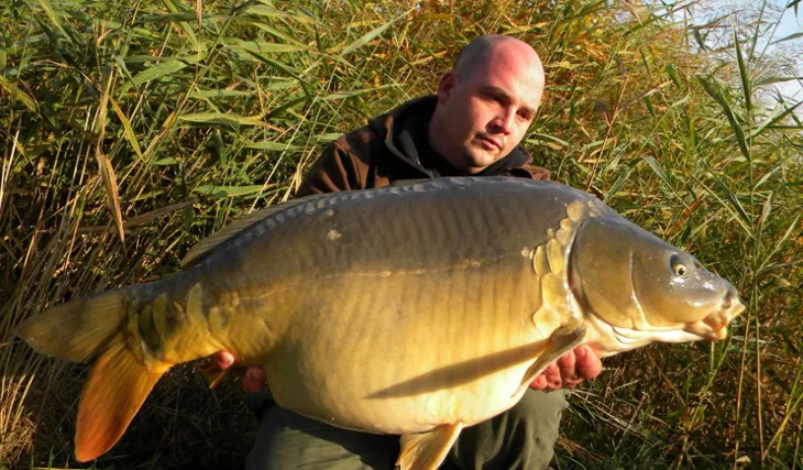 Průřez sezonou 2013