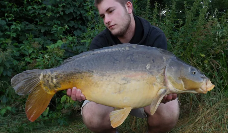 Ve znamení mlíčáků...