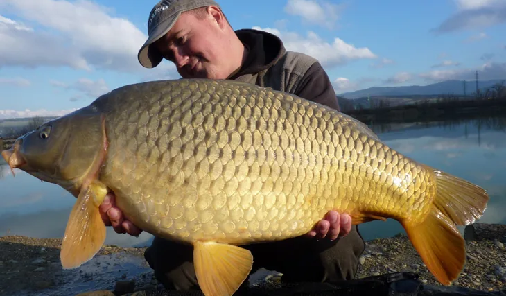 Před příchodem zimy...