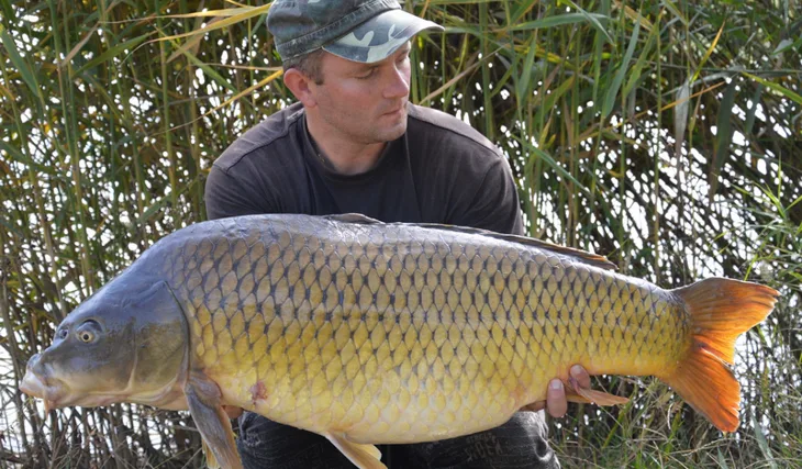 Ve správnou chvíli na správném místě