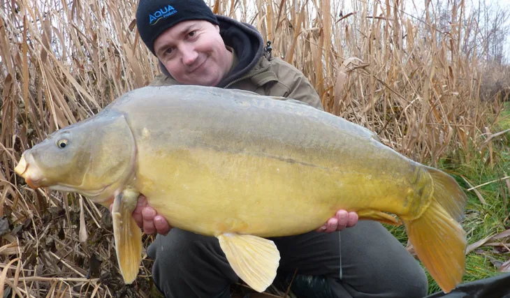 Hned po Silvestru...