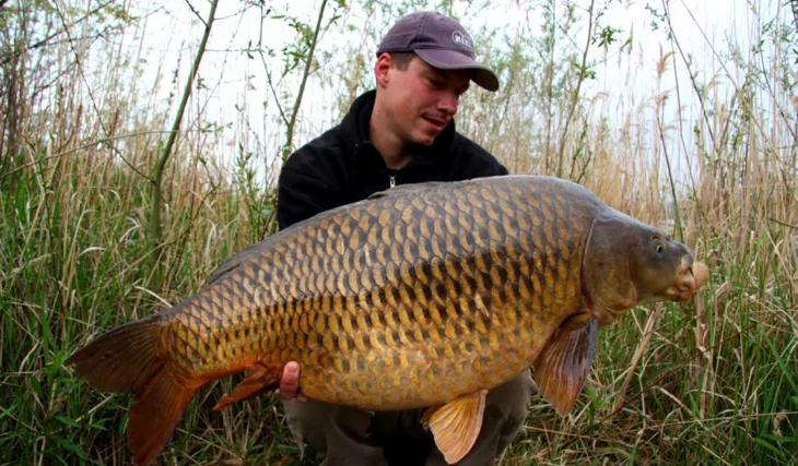 Trpělivost kapry přináší