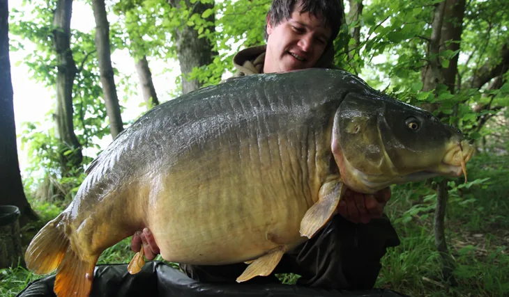 Scopexův francouzský masakr - část první