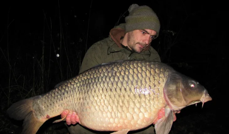 Posledních pár měsíců...